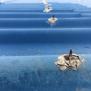 Water-Damage-Restauration-2-min